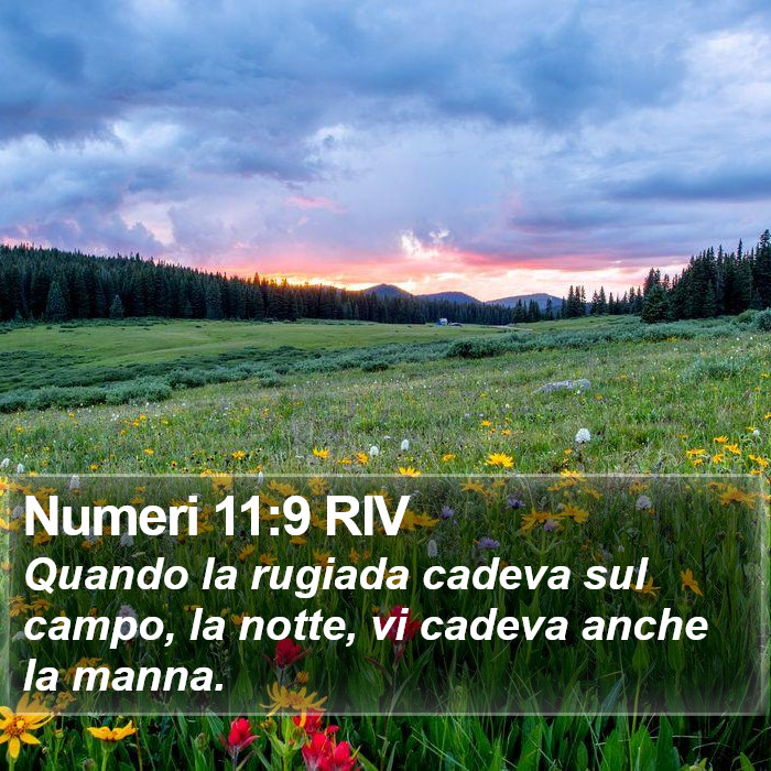 Numeri 11:9 RIV Bible Study