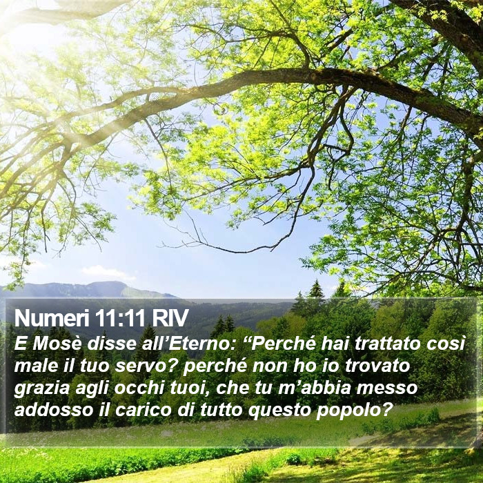 Numeri 11:11 RIV Bible Study