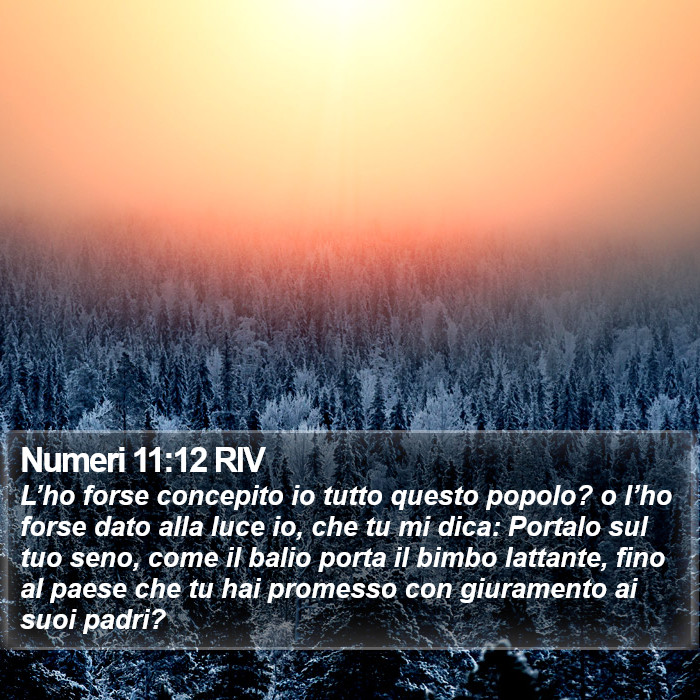 Numeri 11:12 RIV Bible Study