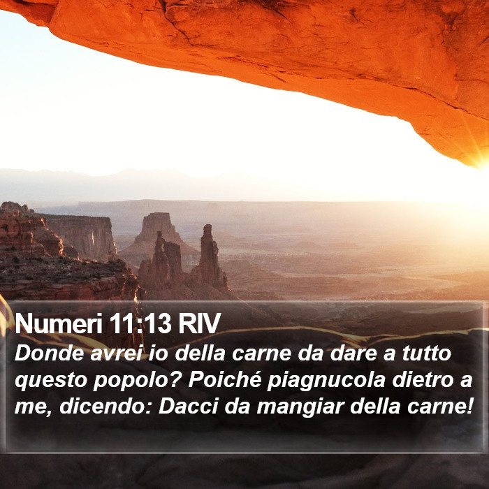 Numeri 11:13 RIV Bible Study