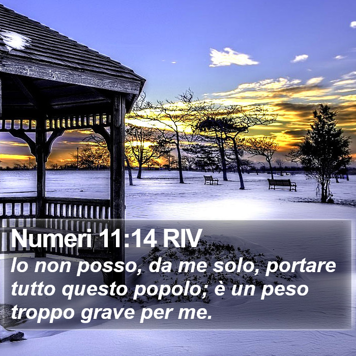 Numeri 11:14 RIV Bible Study