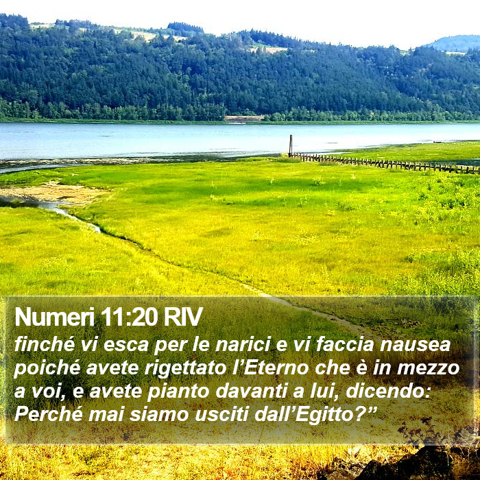 Numeri 11:20 RIV Bible Study