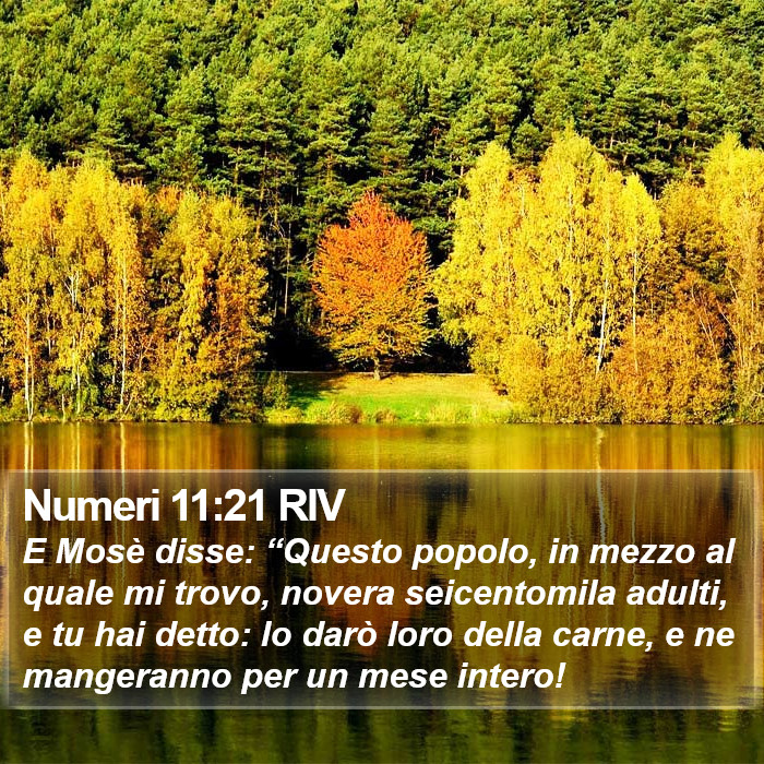 Numeri 11:21 RIV Bible Study