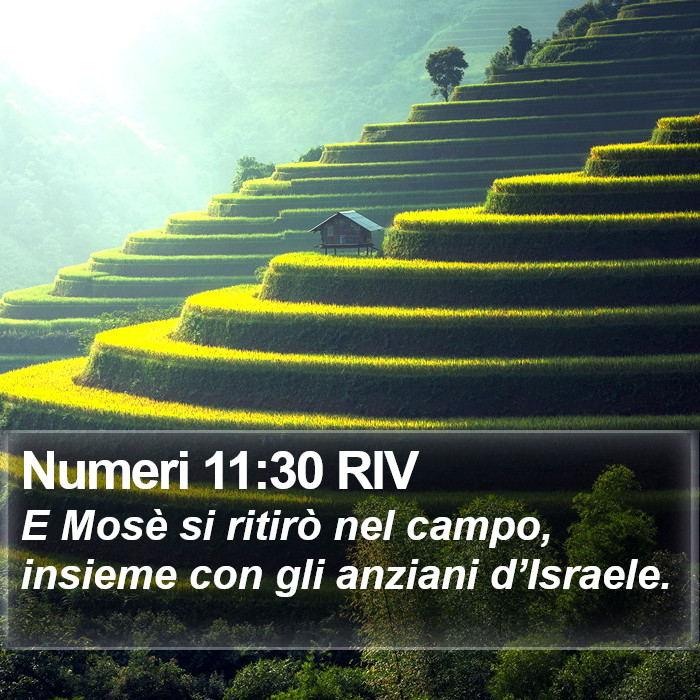 Numeri 11:30 RIV Bible Study