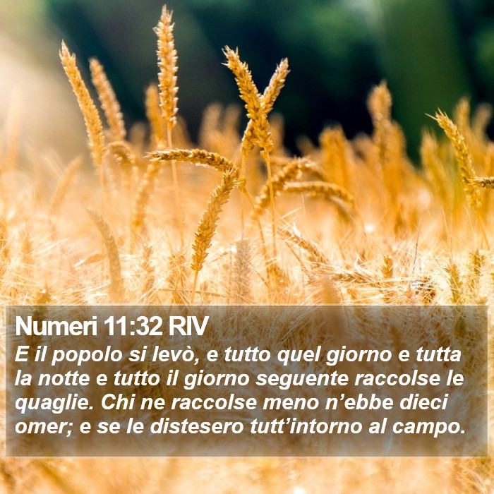 Numeri 11:32 RIV Bible Study