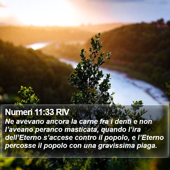 Numeri 11:33 RIV Bible Study