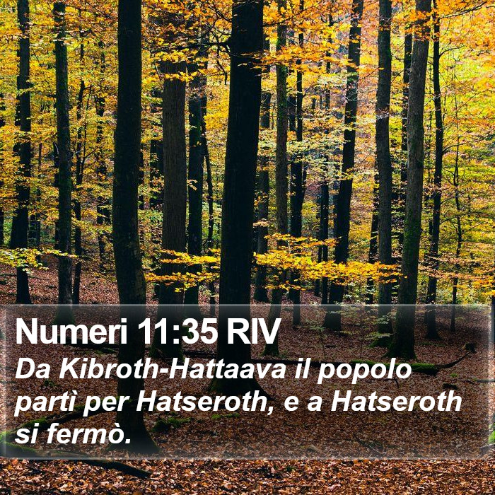 Numeri 11:35 RIV Bible Study