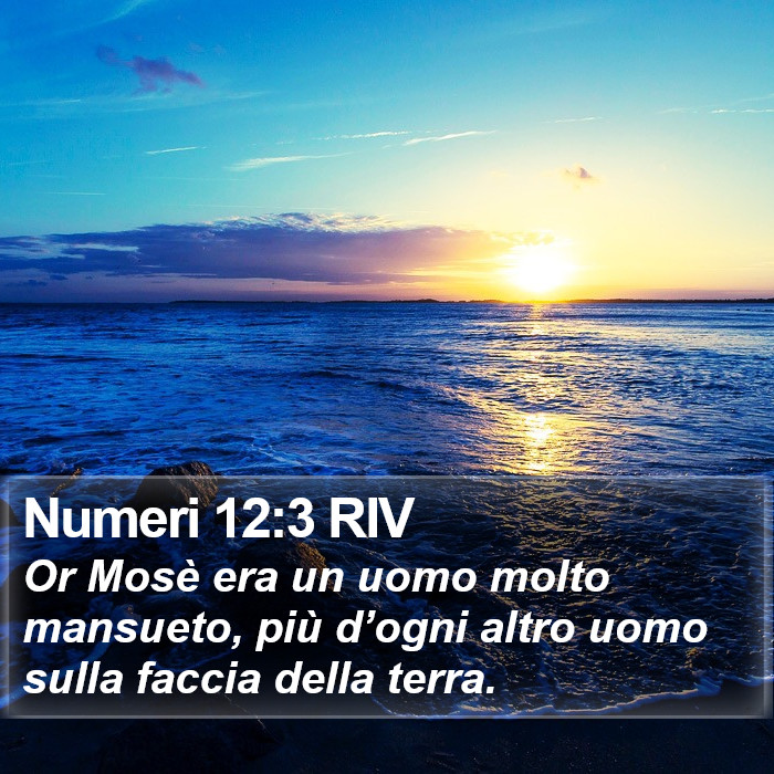 Numeri 12:3 RIV Bible Study