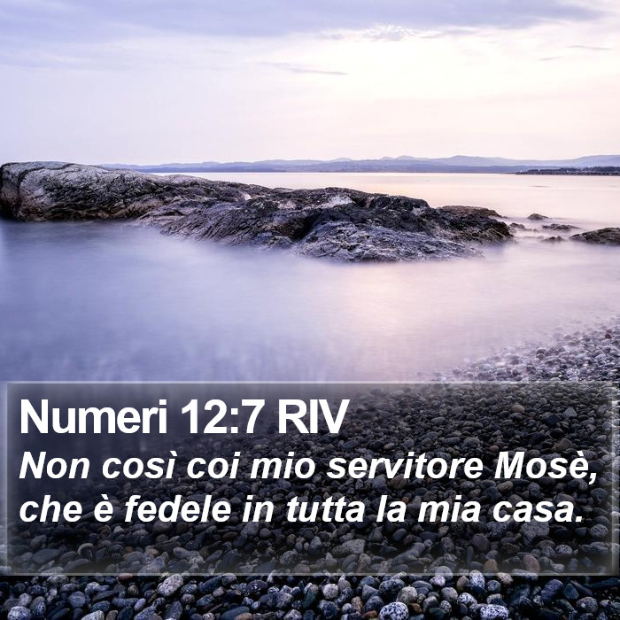 Numeri 12:7 RIV Bible Study