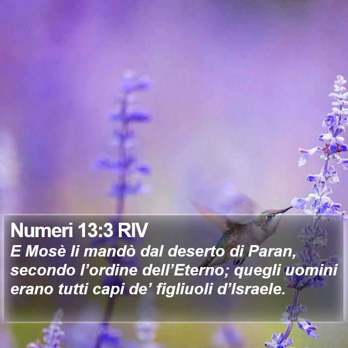 Numeri 13:3 RIV Bible Study