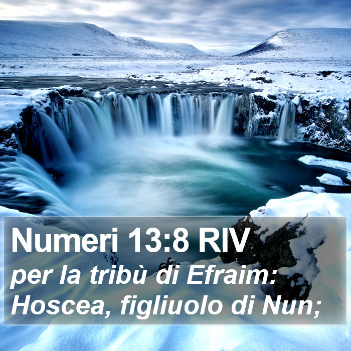 Numeri 13:8 RIV Bible Study