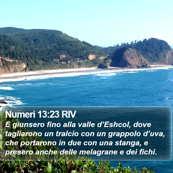 Numeri 13:23 RIV Bible Study