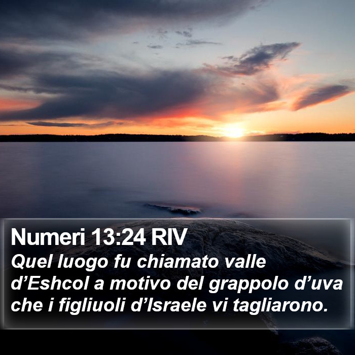 Numeri 13:24 RIV Bible Study
