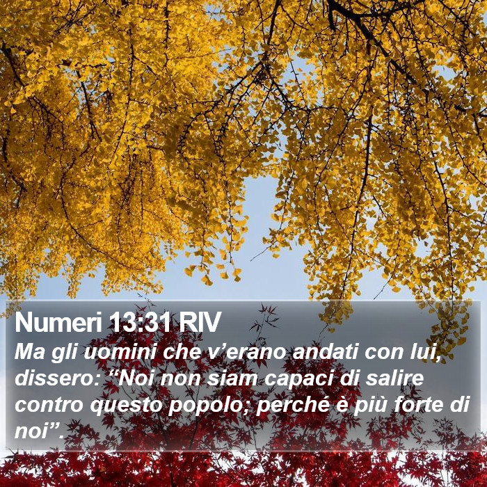 Numeri 13:31 RIV Bible Study