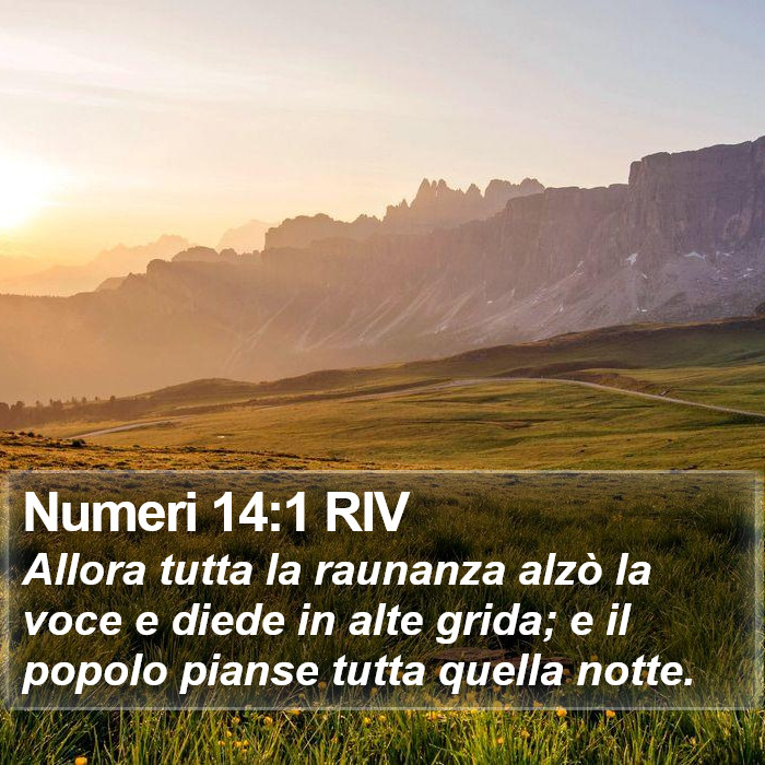 Numeri 14:1 RIV Bible Study