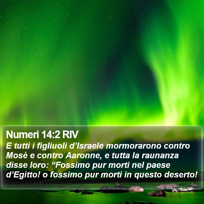 Numeri 14:2 RIV Bible Study