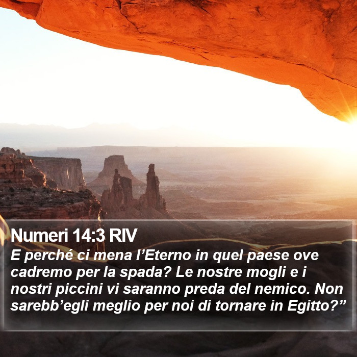 Numeri 14:3 RIV Bible Study