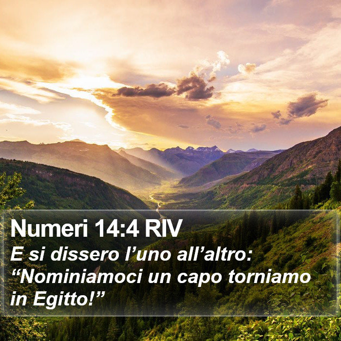 Numeri 14:4 RIV Bible Study