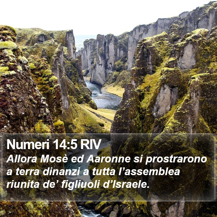 Numeri 14:5 RIV Bible Study