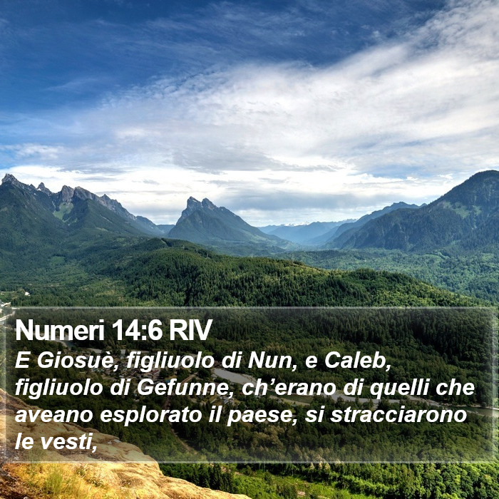 Numeri 14:6 RIV Bible Study