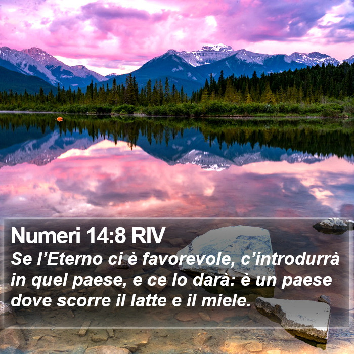 Numeri 14:8 RIV Bible Study