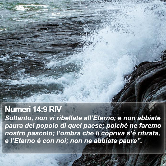 Numeri 14:9 RIV Bible Study