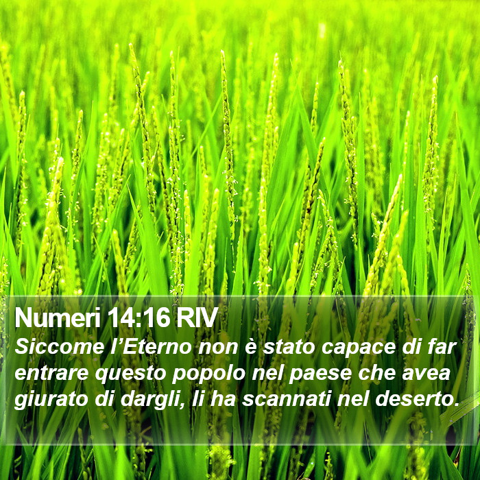 Numeri 14:16 RIV Bible Study