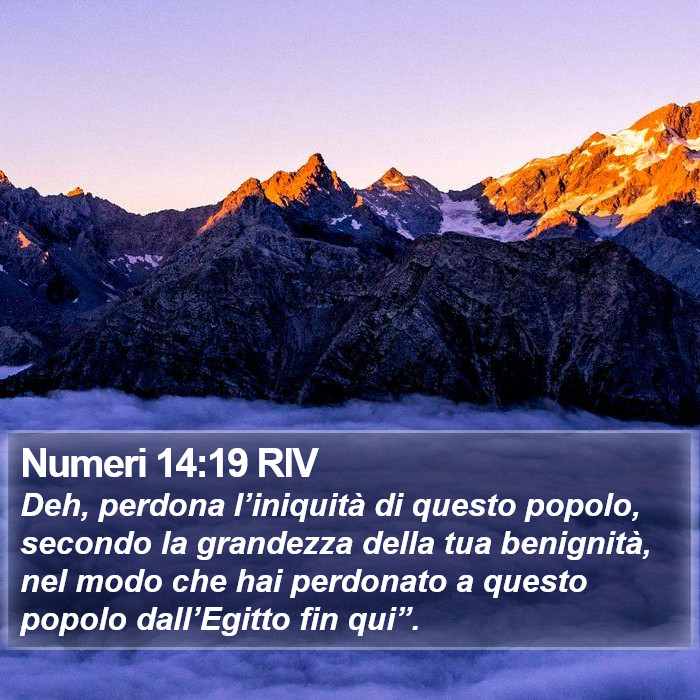 Numeri 14:19 RIV Bible Study