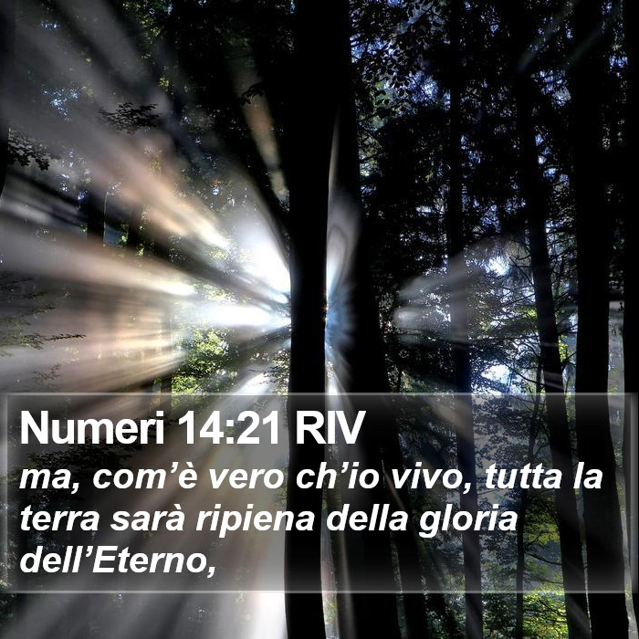 Numeri 14:21 RIV Bible Study