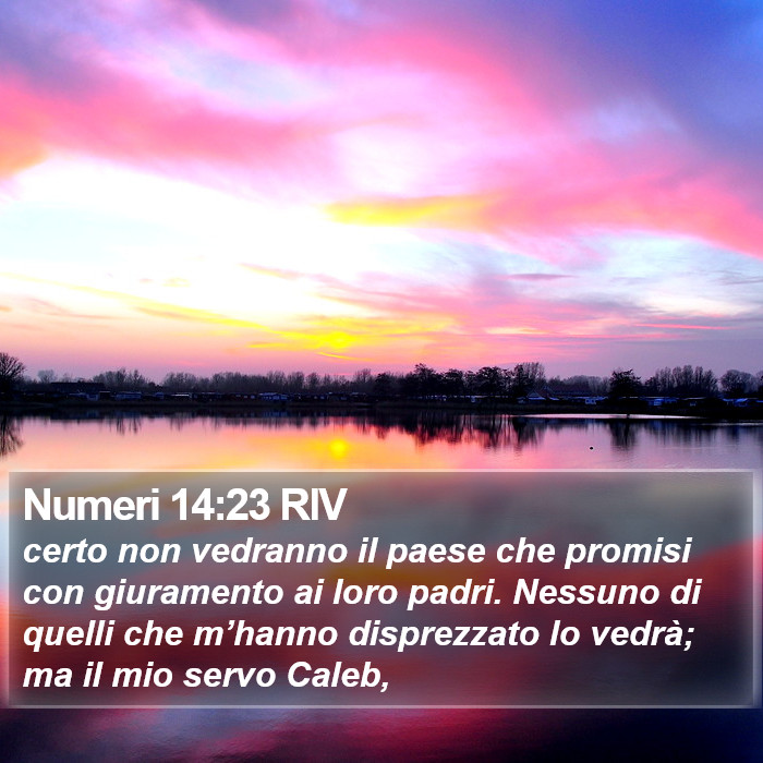 Numeri 14:23 RIV Bible Study