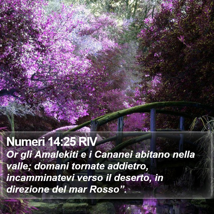 Numeri 14:25 RIV Bible Study