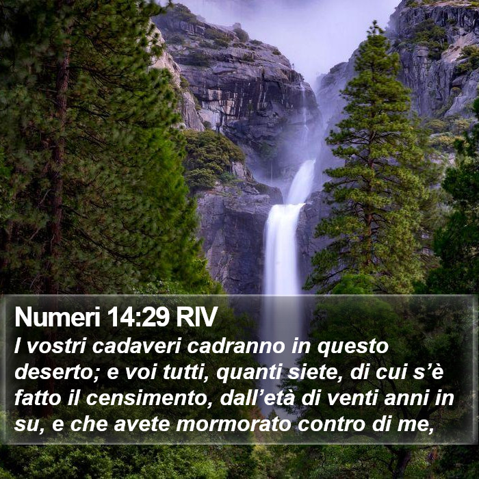 Numeri 14:29 RIV Bible Study