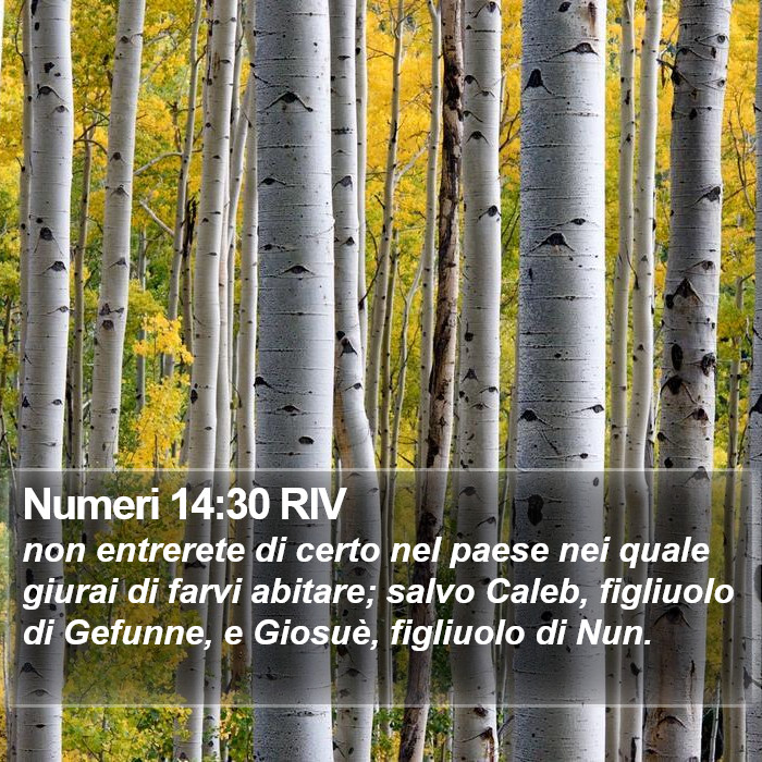 Numeri 14:30 RIV Bible Study