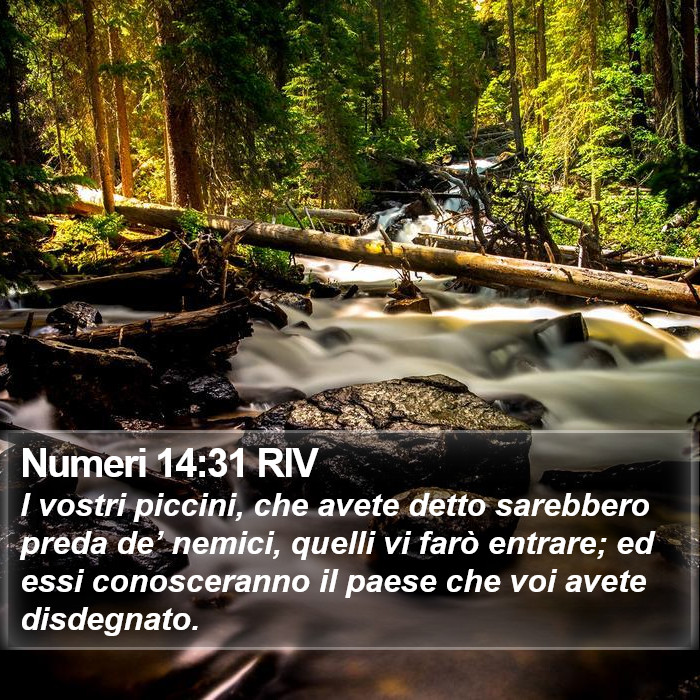 Numeri 14:31 RIV Bible Study