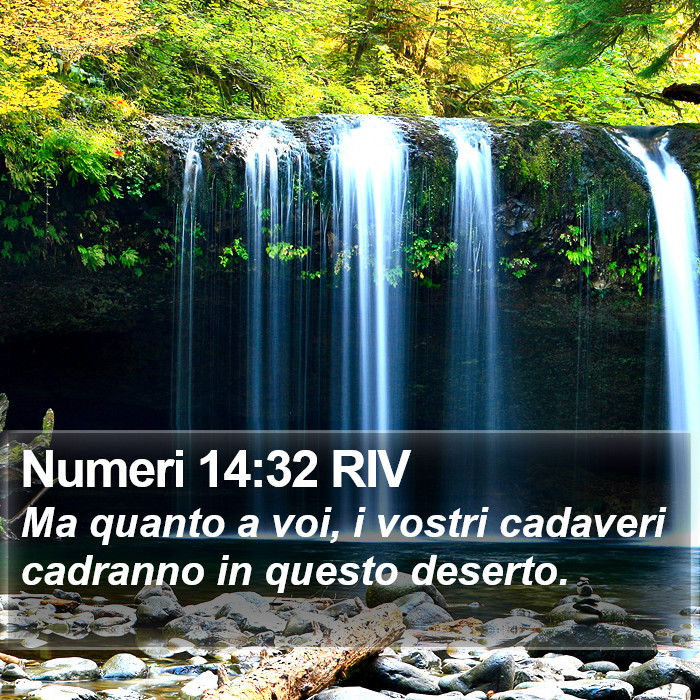 Numeri 14:32 RIV Bible Study