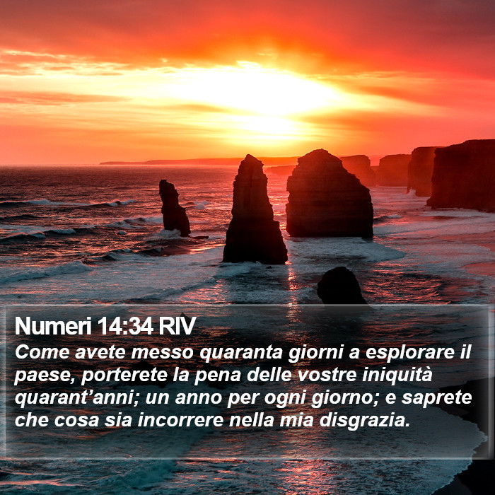 Numeri 14:34 RIV Bible Study