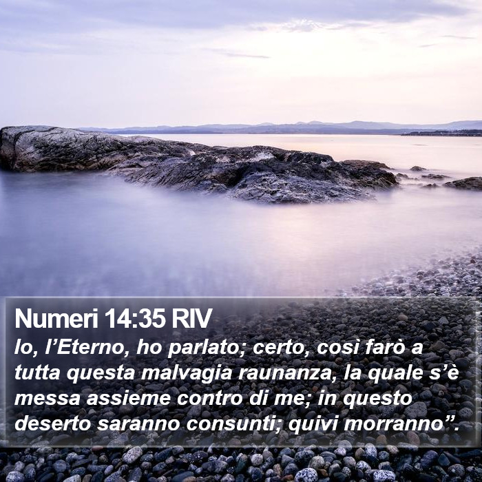 Numeri 14:35 RIV Bible Study