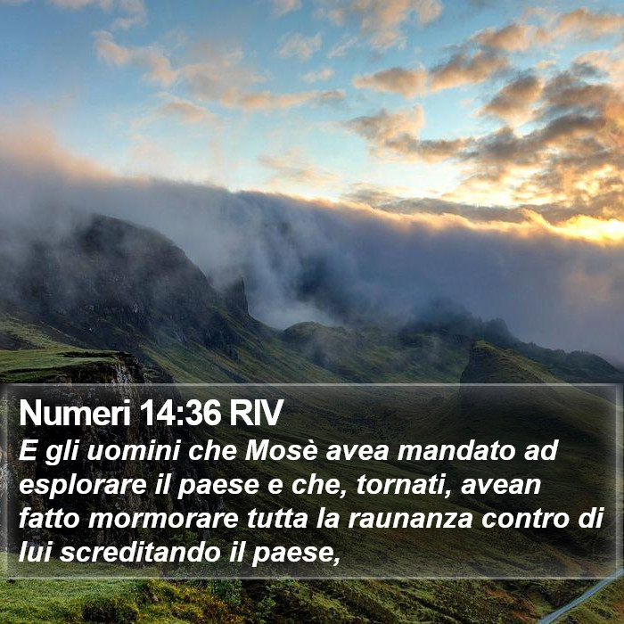 Numeri 14:36 RIV Bible Study