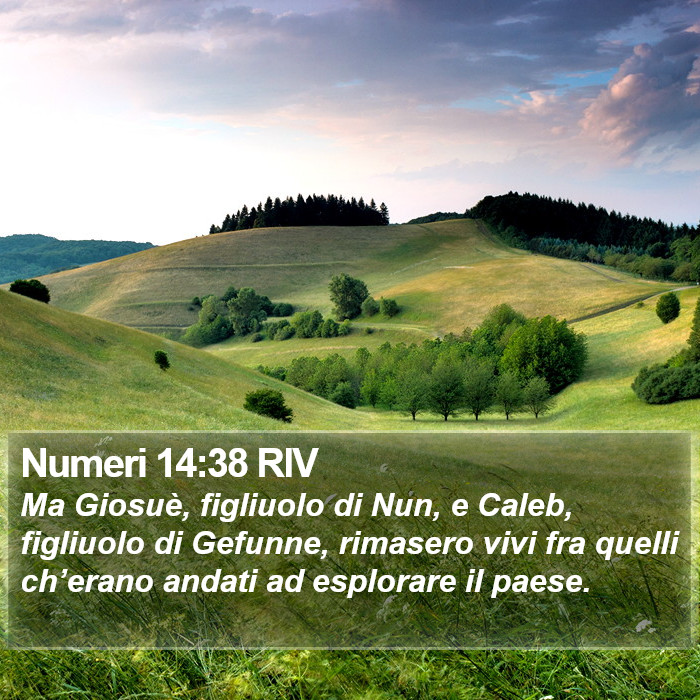 Numeri 14:38 RIV Bible Study