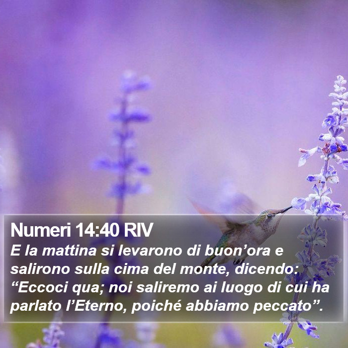 Numeri 14:40 RIV Bible Study