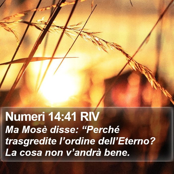 Numeri 14:41 RIV Bible Study