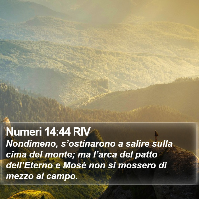 Numeri 14:44 RIV Bible Study