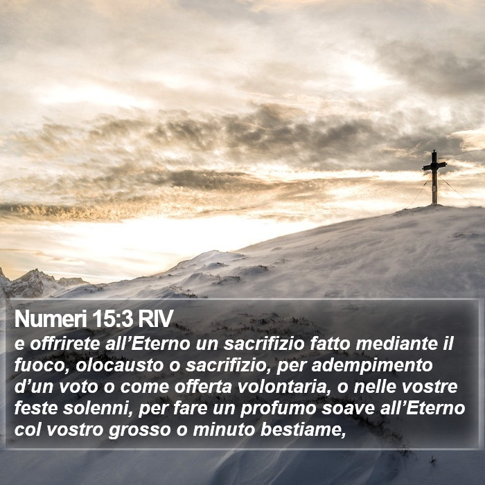 Numeri 15:3 RIV Bible Study