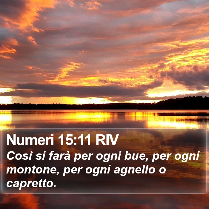 Numeri 15:11 RIV Bible Study