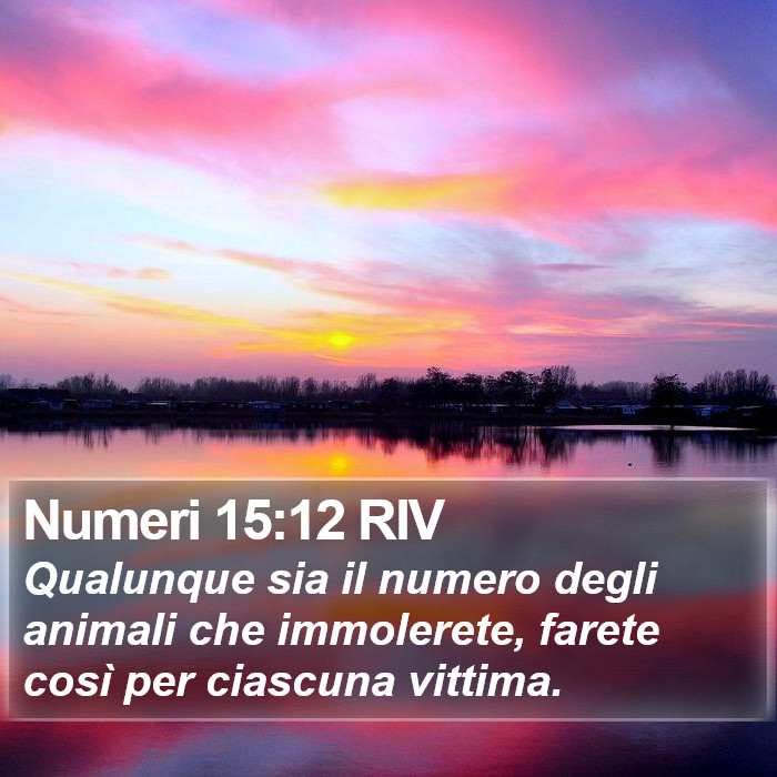 Numeri 15:12 RIV Bible Study