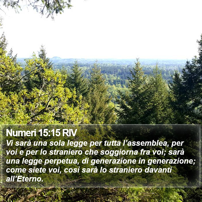 Numeri 15:15 RIV Bible Study