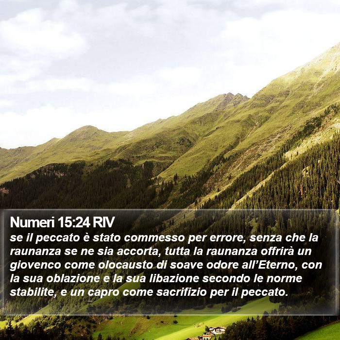 Numeri 15:24 RIV Bible Study