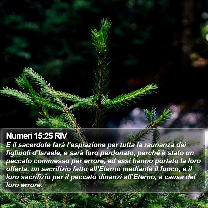 Numeri 15:25 RIV Bible Study