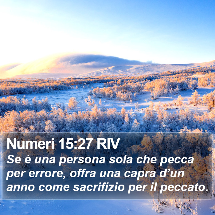 Numeri 15:27 RIV Bible Study