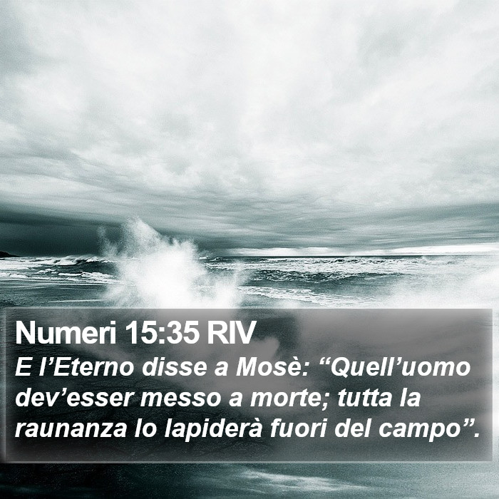 Numeri 15:35 RIV Bible Study